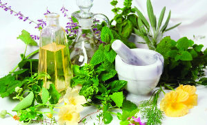 Homemade lotions with the herbs